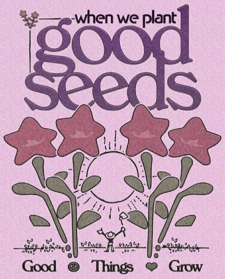 Seed Plan