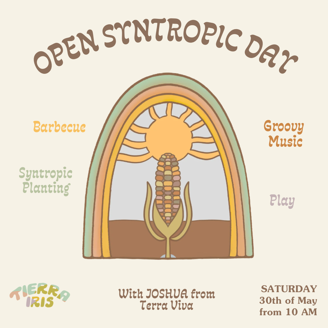 30/05 Syntropic Day