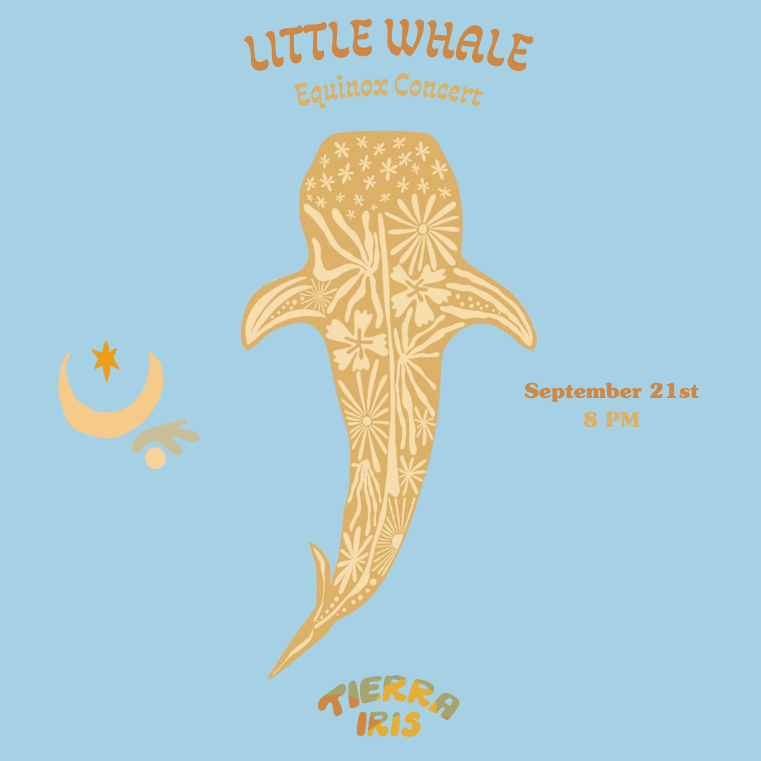 21/09 - Little Whale | Equinox Concert